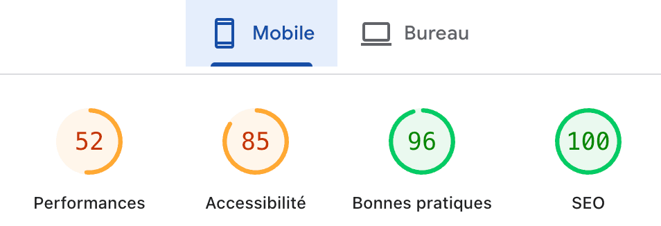 Capture Google Page Speed Insights ou Light House pour analyse SEO site internet.