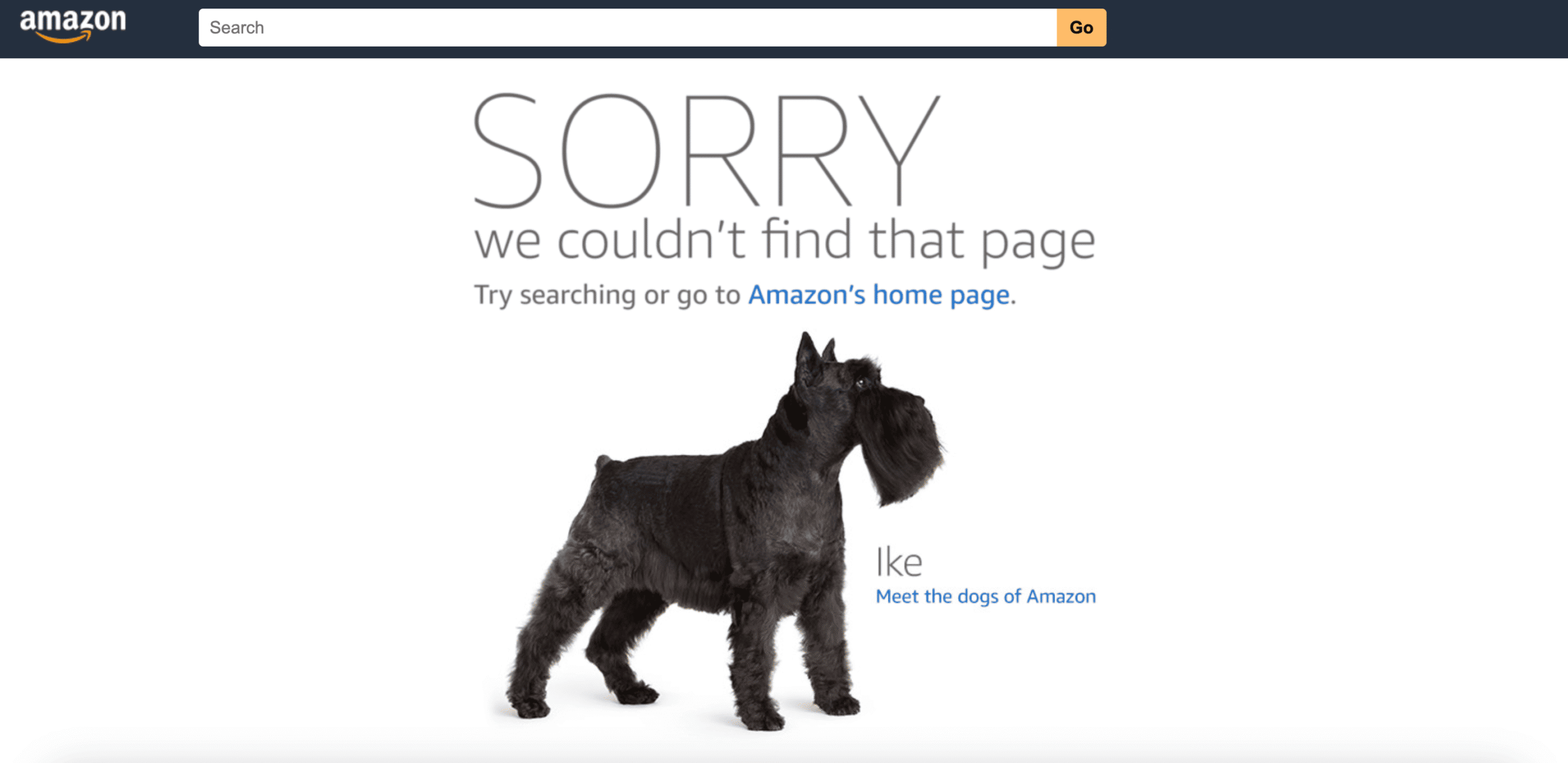 Page d'erreur 404 Amazon