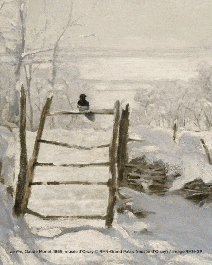 Exposition Neige - Asset 02